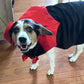 Count Woofula Halloween Dog Costume