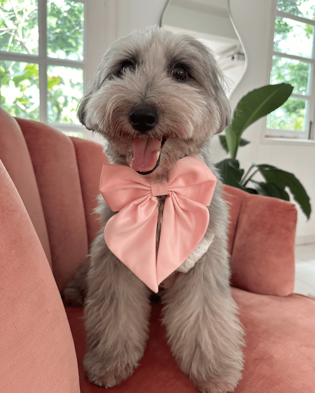 Wander! Blossom Pink Collar Sailor Bow