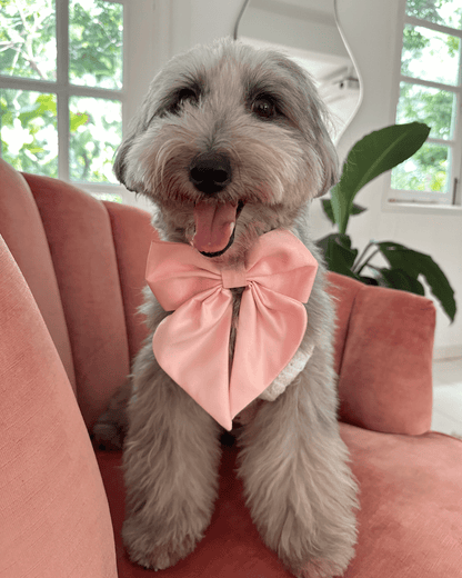 Wander! Blossom Pink Collar Sailor Bow