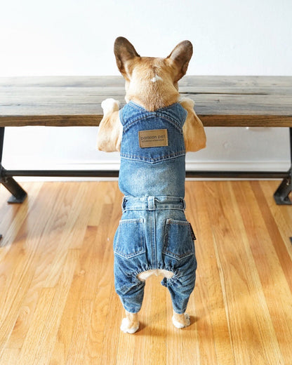 Denim Dog Overall