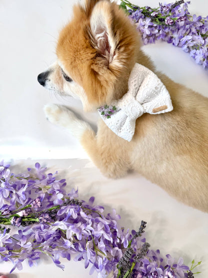 Magnolia Bow Tie & Sailor Bow