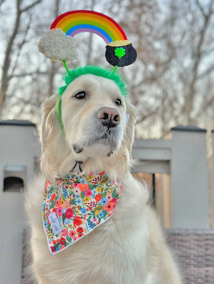 St. Patrick's Rainbow Pot of Gold Dog Headband