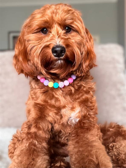 Trixie Beaded Dog Collar Necklace