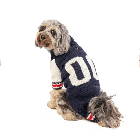 Varsity Sweater