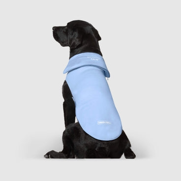 Weighted Calming Dog Vest