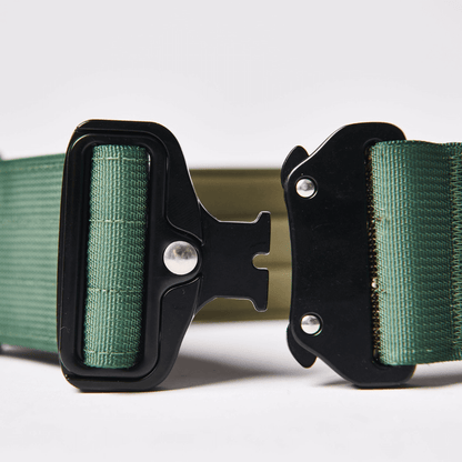 Tactical Dog Collar - Army Green