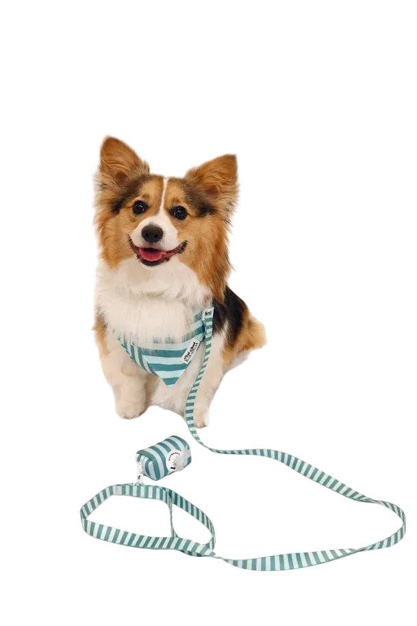 Mint and Green Striped Leash
