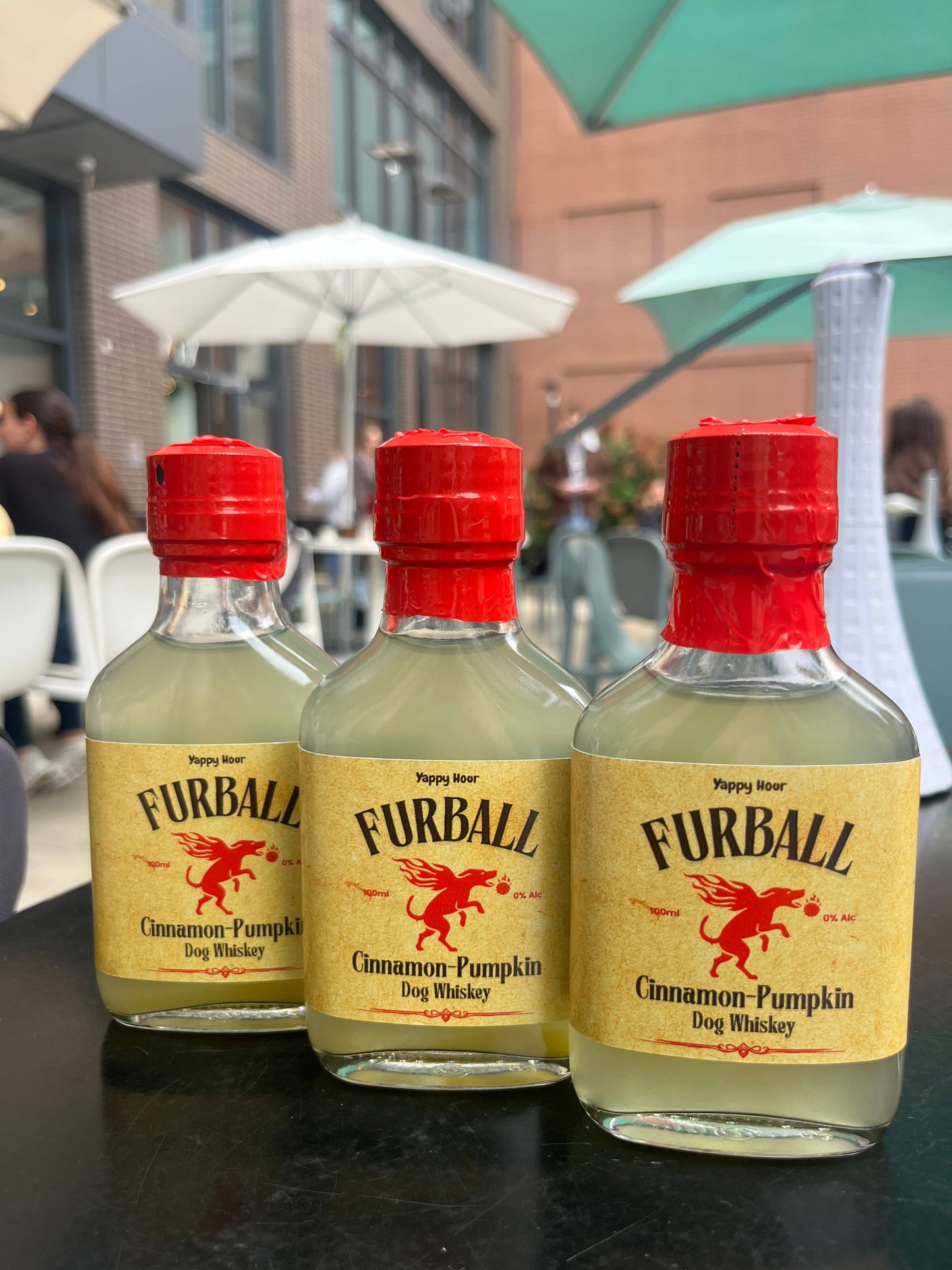 Furball Dog Whiskey Minis 100ml - Pumpkin-Cinnamon