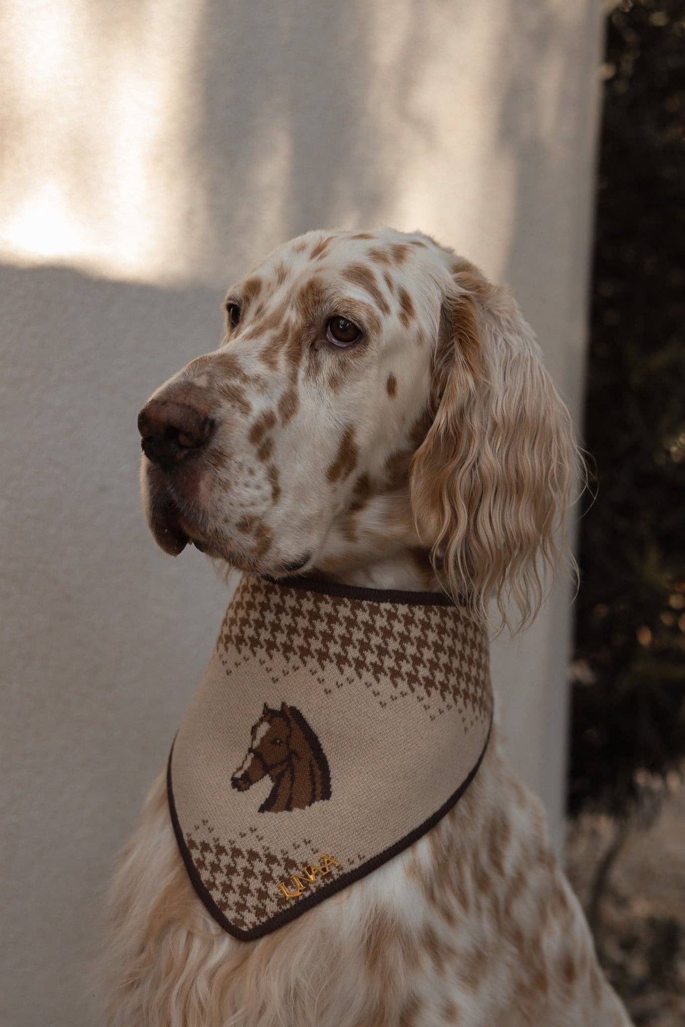 Sterling Equestrian Knit Bandana