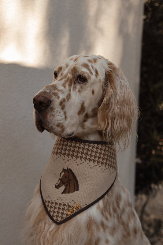Sterling Equestrian Knit Bandana