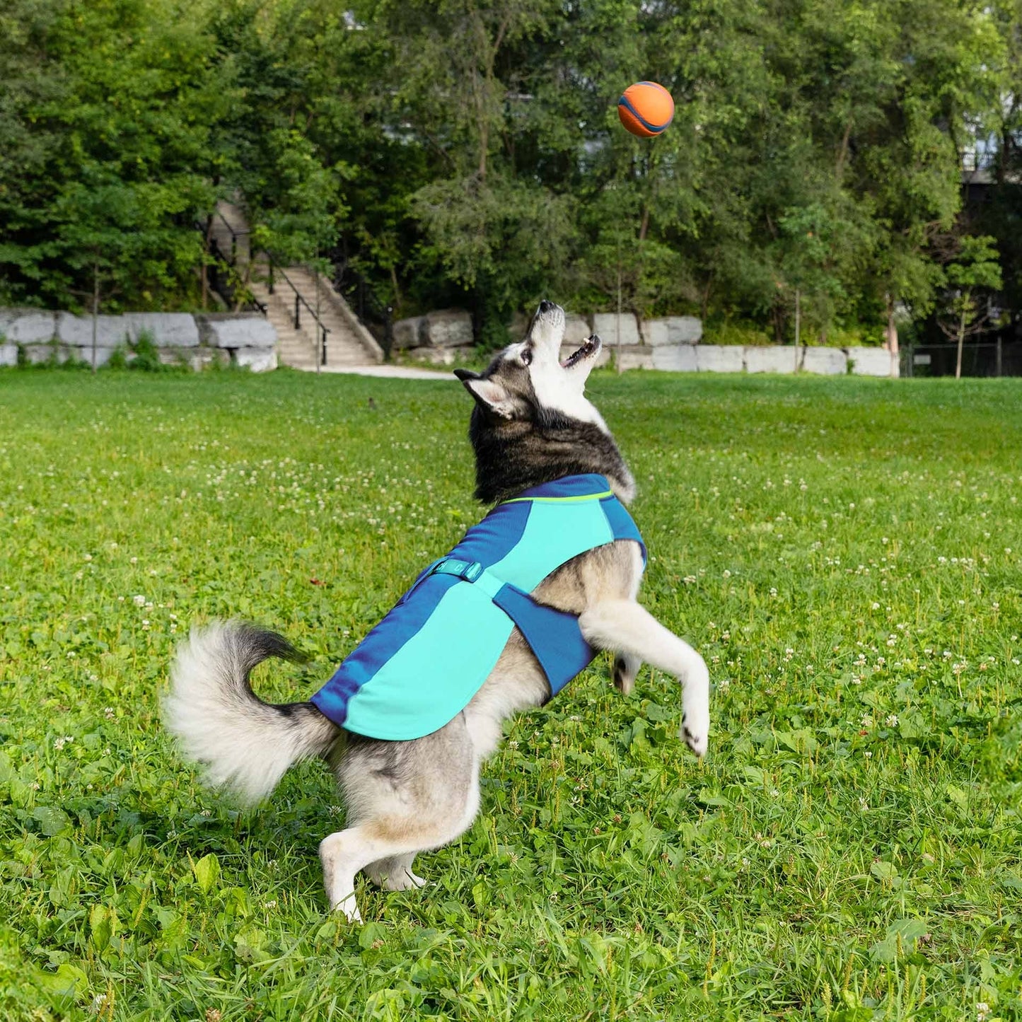 Max Chill Cooling Vest - Assorted Sizes/Colors