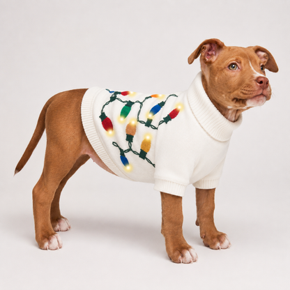 Vintage Lights Dog Sweater with LED Lights