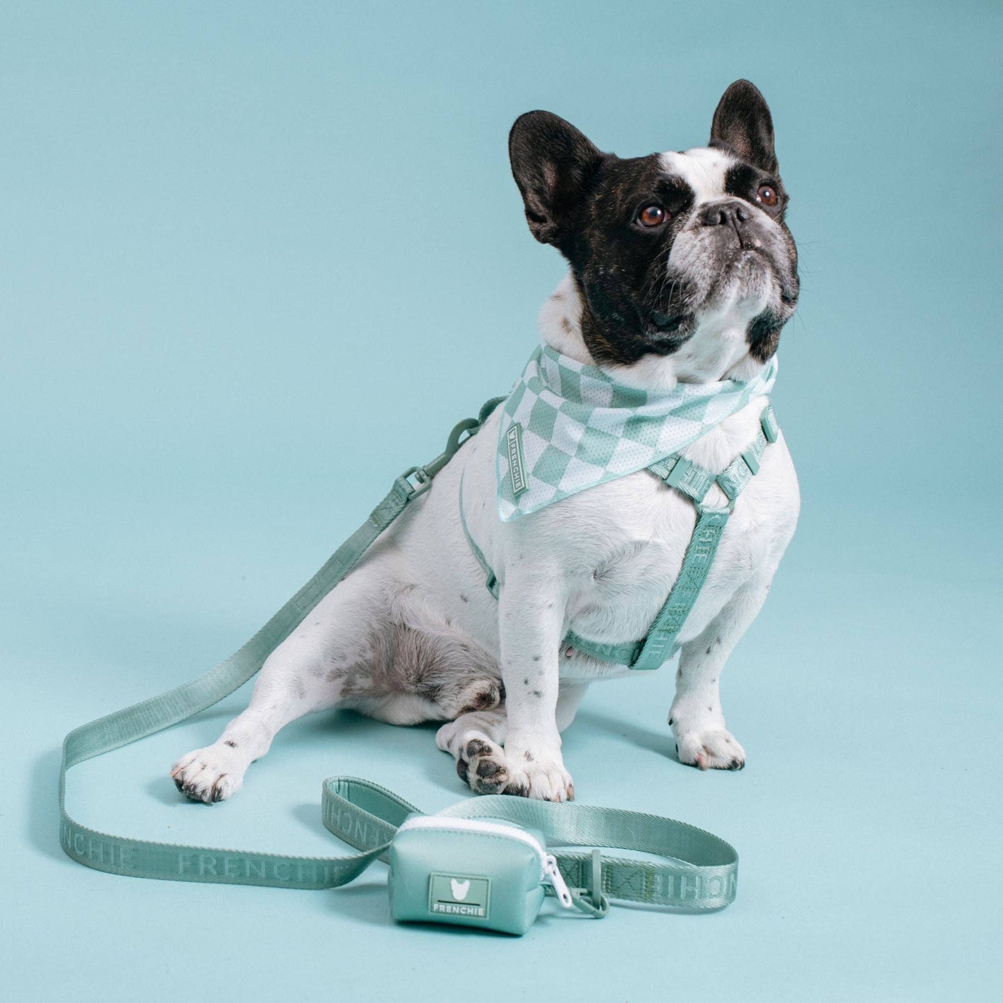 Frenchie Cooling Bandana - Sage Checkered