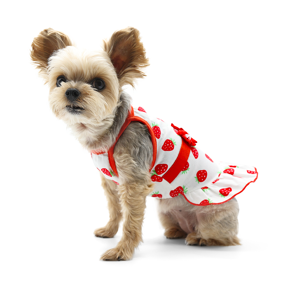 Vestido de perro con forma de fresa