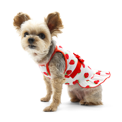 Vestido de perro con forma de fresa