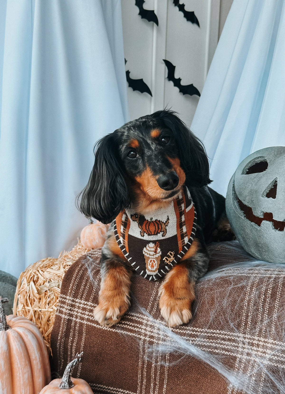 Spooky Szn Reversible Knit Bandana
