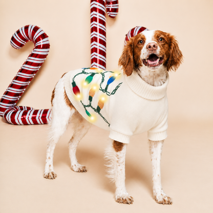 Vintage Lights Dog Sweater with LED Lights