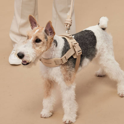 Rover Dog Harness