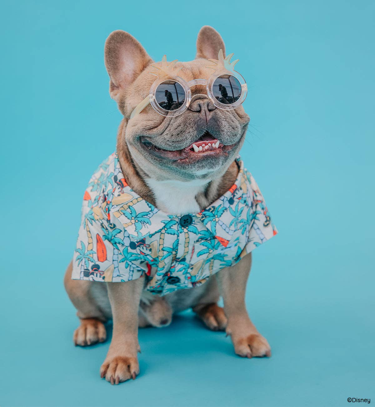 Mickey Mouse Dog Hawaiian Shirt