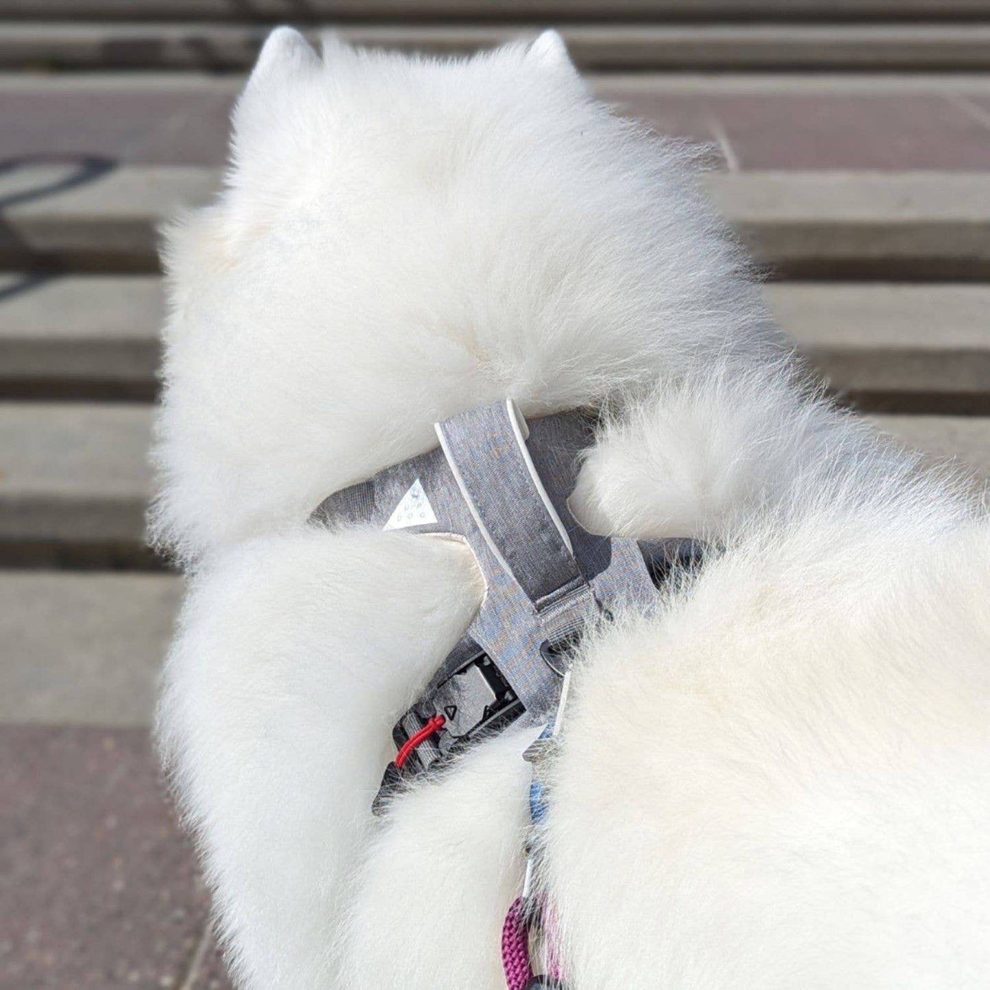 Magnetic Dog Harness with Handle – Magnetic Buckles, No-Pull