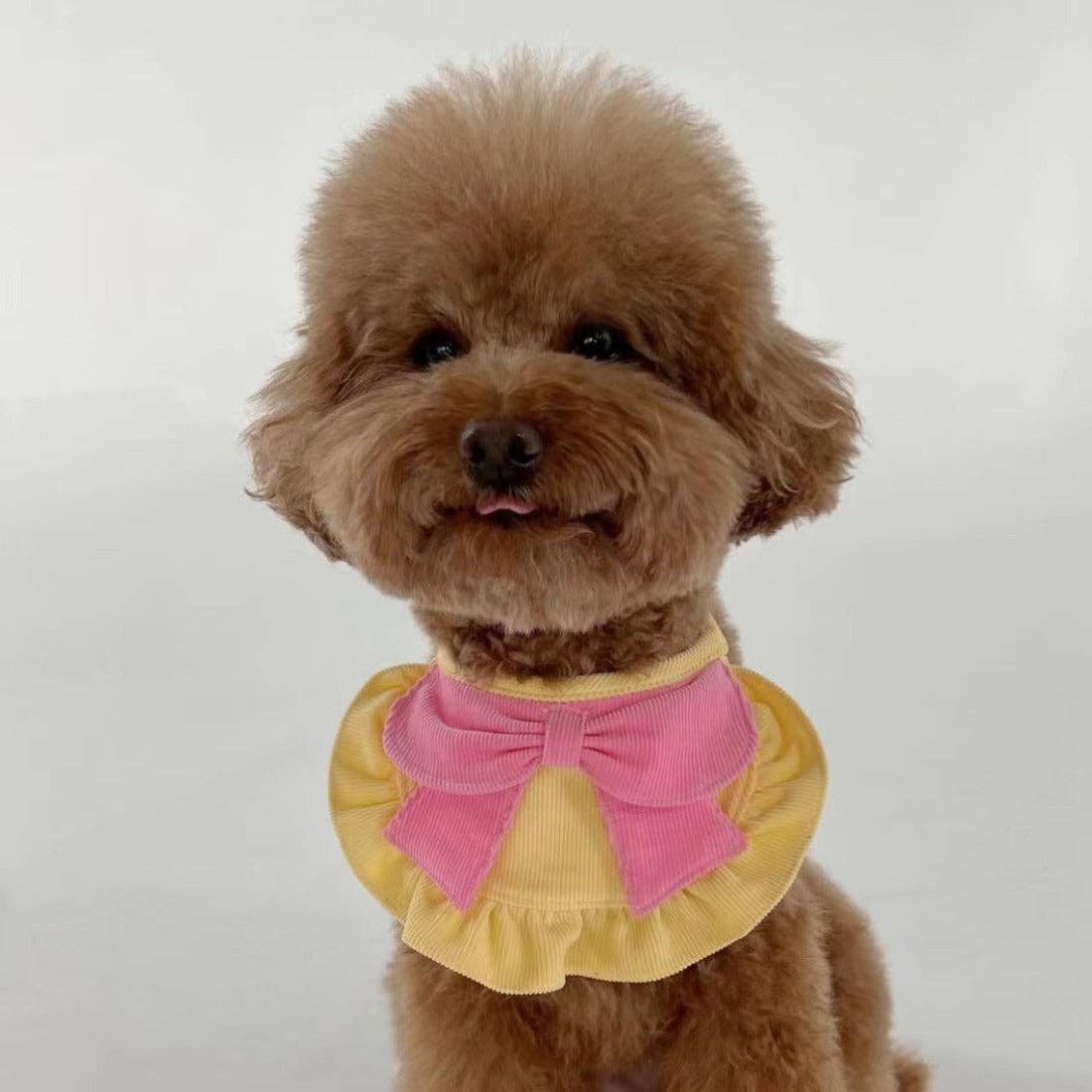 Ruffle Pet Bandana with Decorative Bow-Assorted Colors