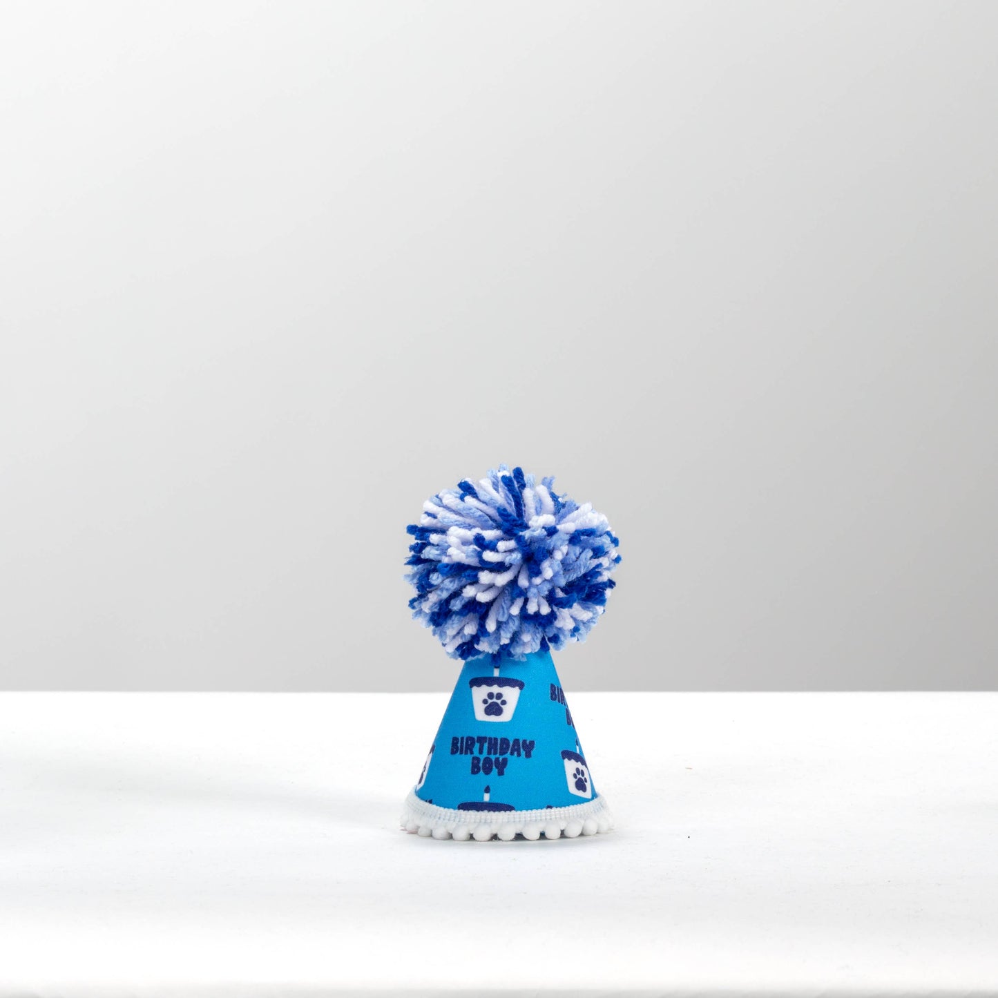 Birthday Boy Blue Ink Party Hat 