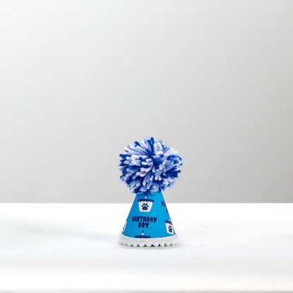 Birthday Boy Blue Ink Party Hat 