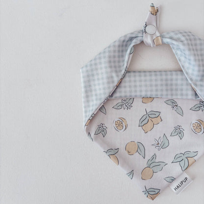 The Cottage Citrus Reversible Dog Bandana