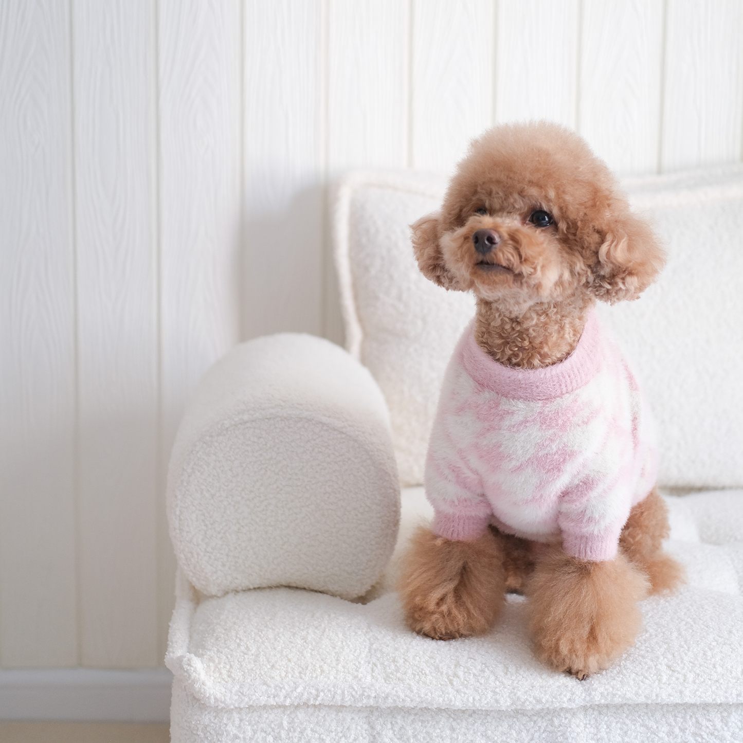 Jolie Soft Cloud Dog Sweater