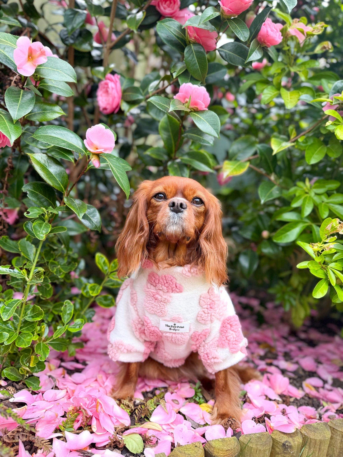 The Peony Pink Floral Fleece