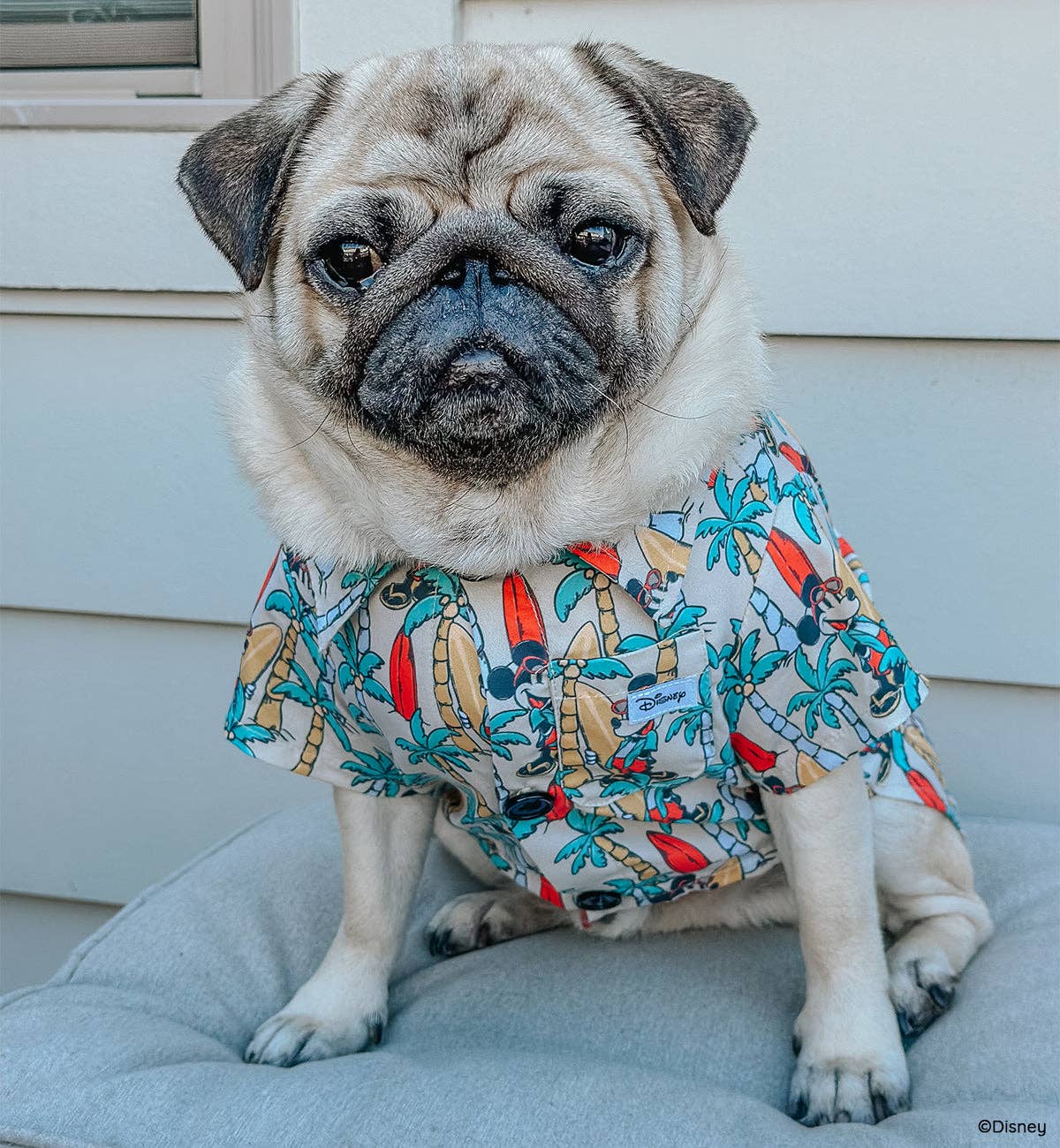 Mickey Mouse Dog Hawaiian Shirt