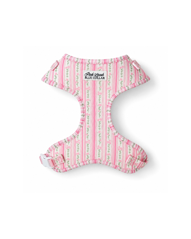 Pink Rose Love Shack Fancy Vibes Harness