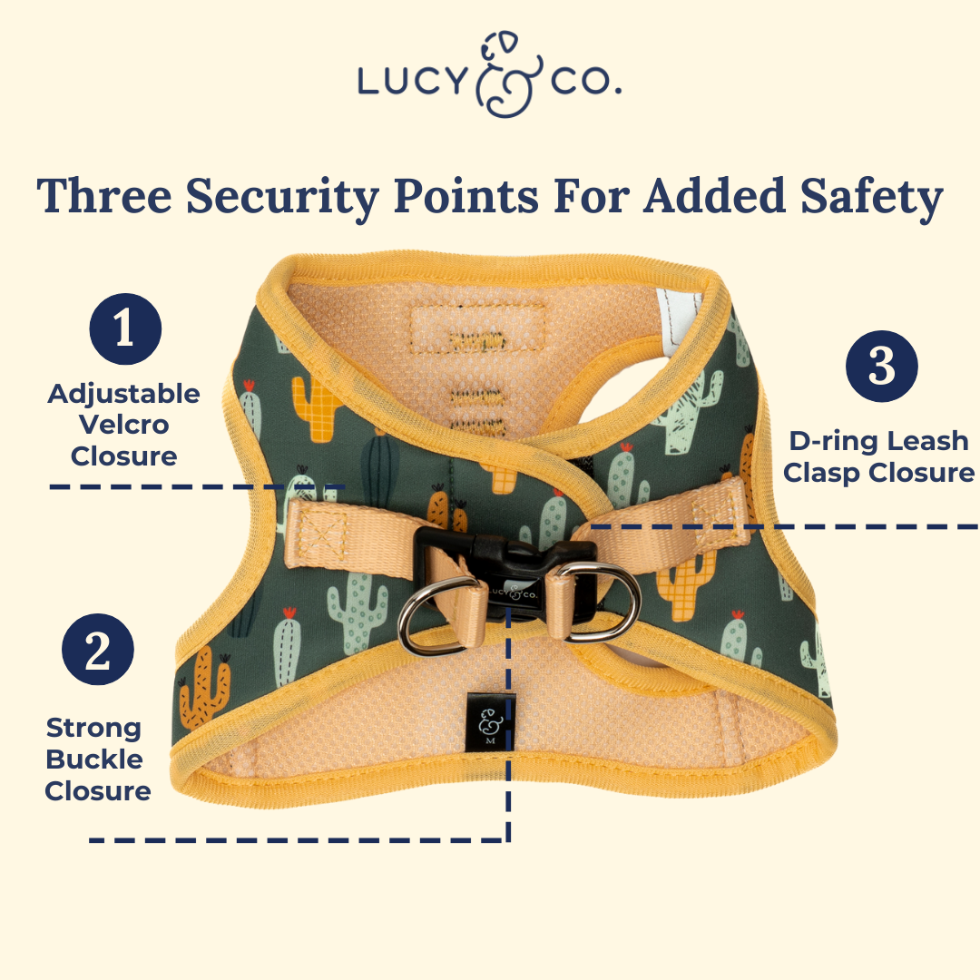 Looking Sharp Step-in Pet Harness