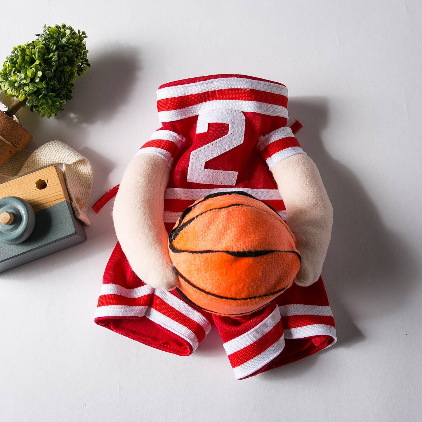 Basketball Dog Costume
