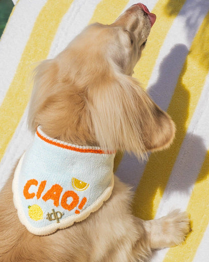 CIAO! Dog Bandana
