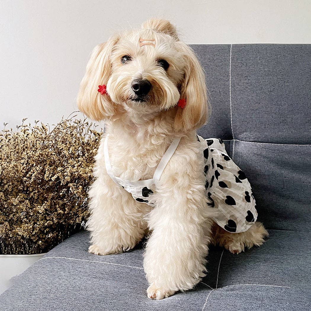 Princess Style Heart Print Dog Dress