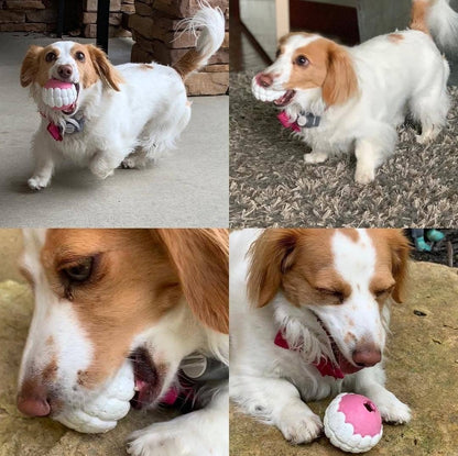 Humunga Chomp Chew Toy for Dogs