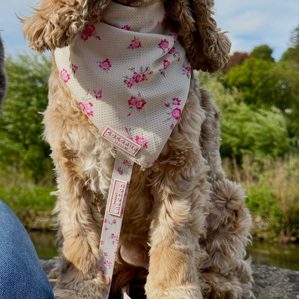 English Rose Cooling Bandana