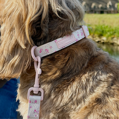 English Rose Dog Collar