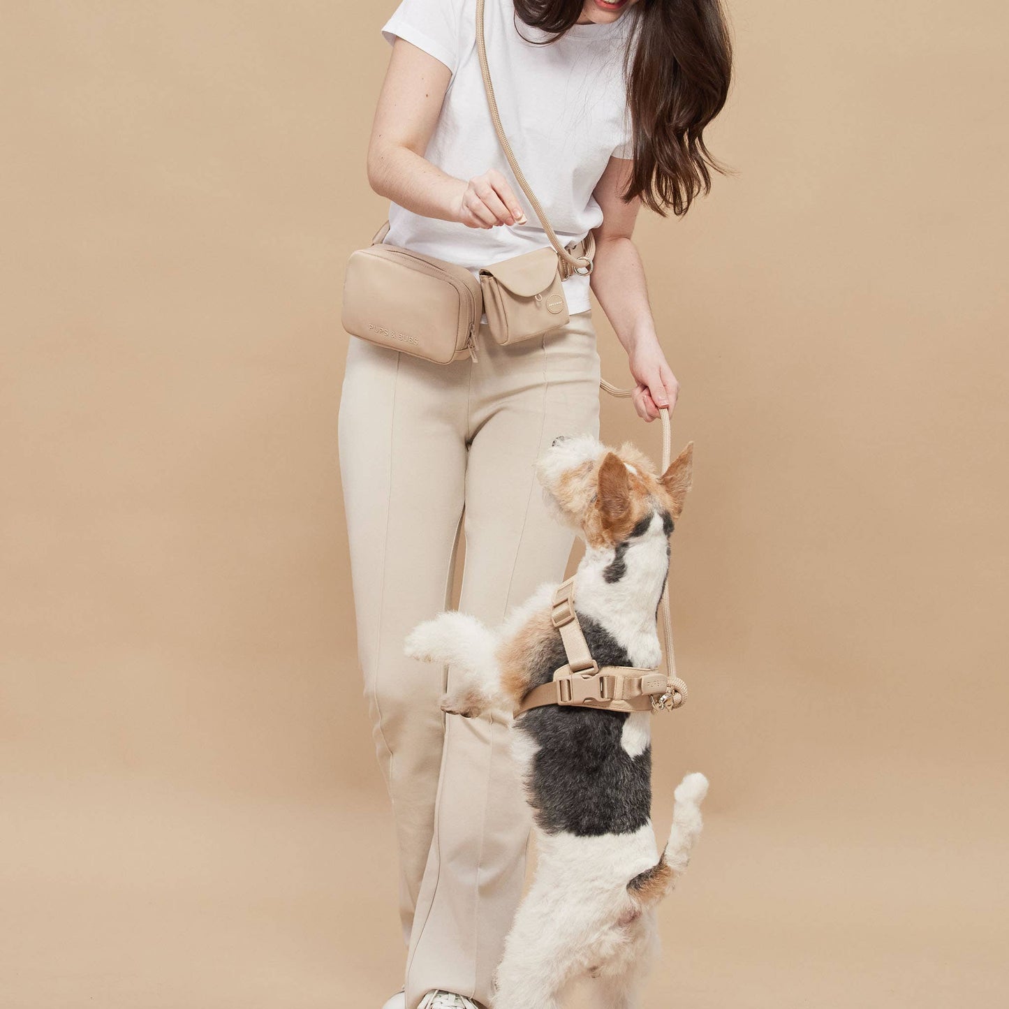 Rover Dog Harness