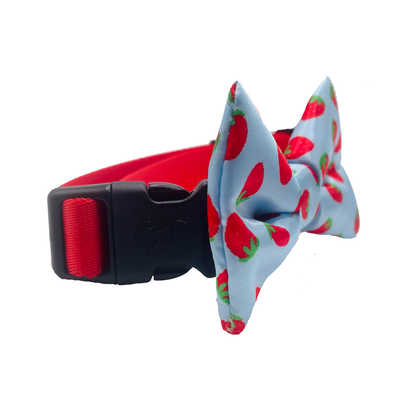 Stawberry Blue Dog Bow Tie