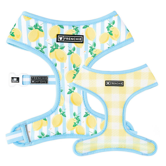 Frenchie Duo Reversible Harness - Lemon Tree