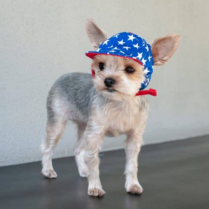 Star Dog Hat