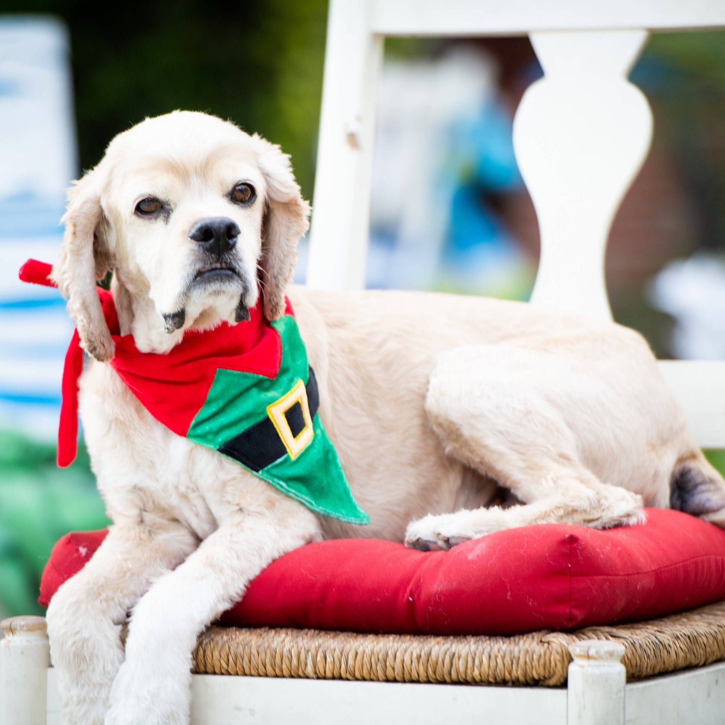 Traje de elfo con bandana de H&amp;K
