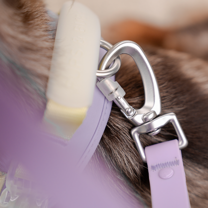 Jelly Dog Harness - Grape Jelly
