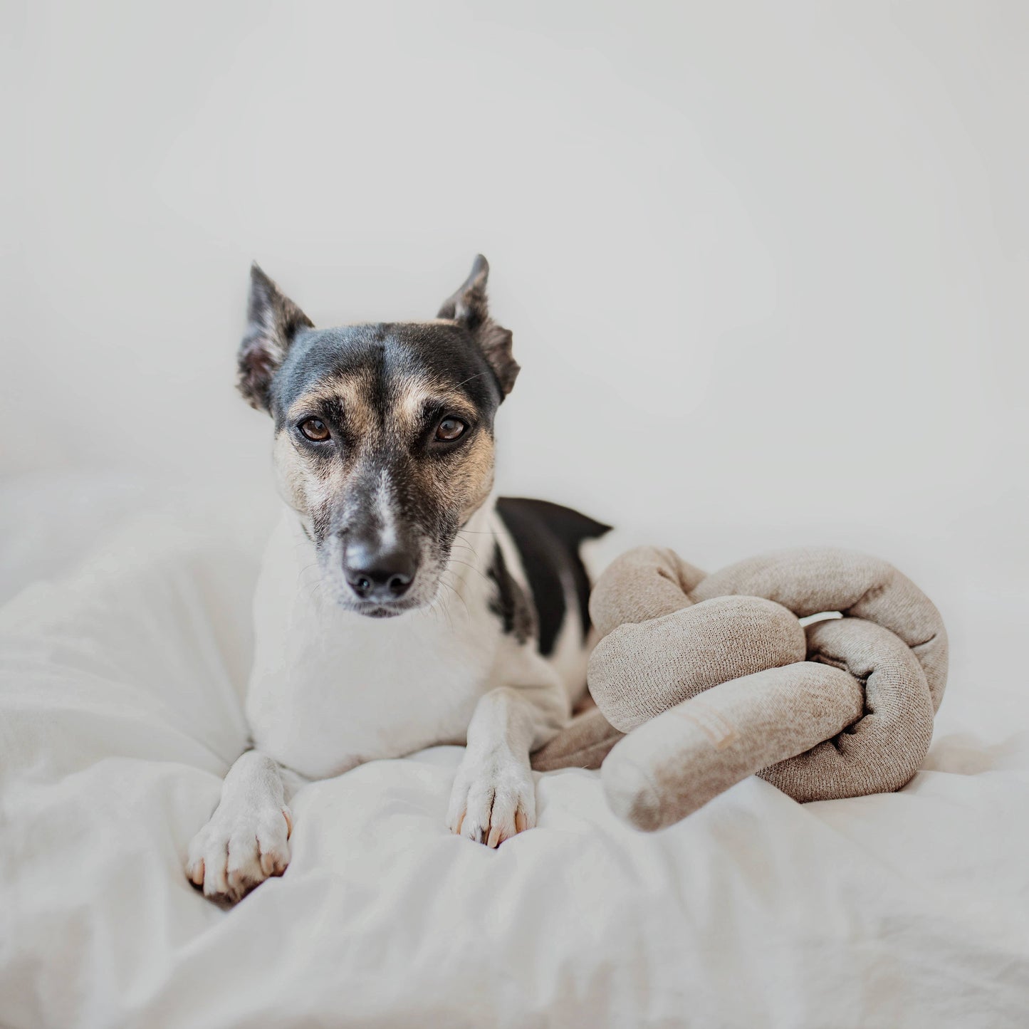 Nou Enrichement Dog Toy