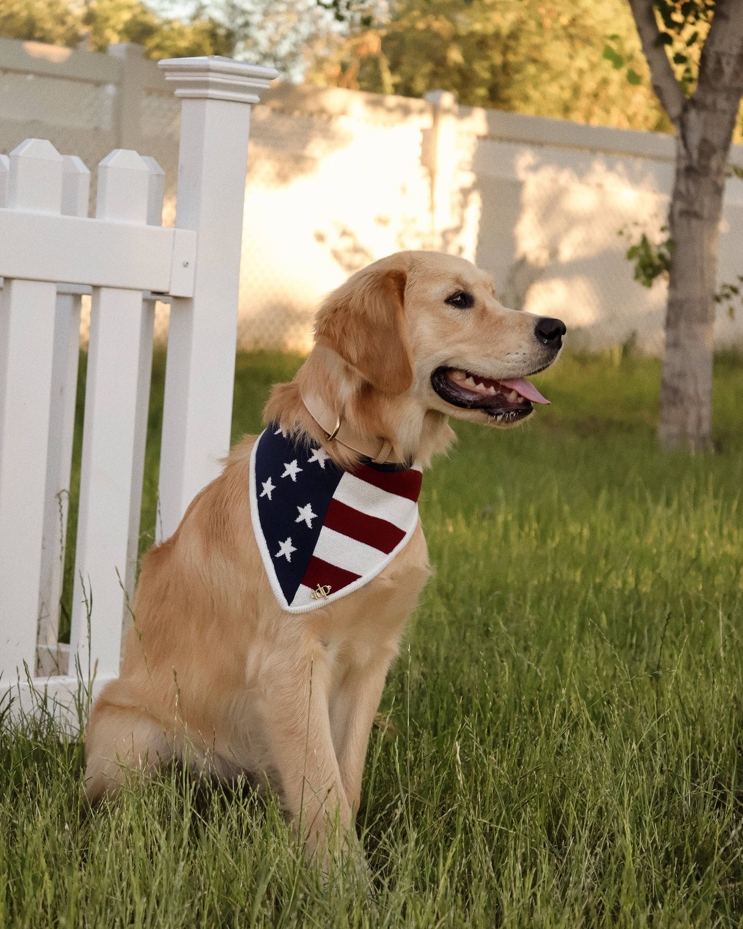 Stars & Stripes Dog Bandana
