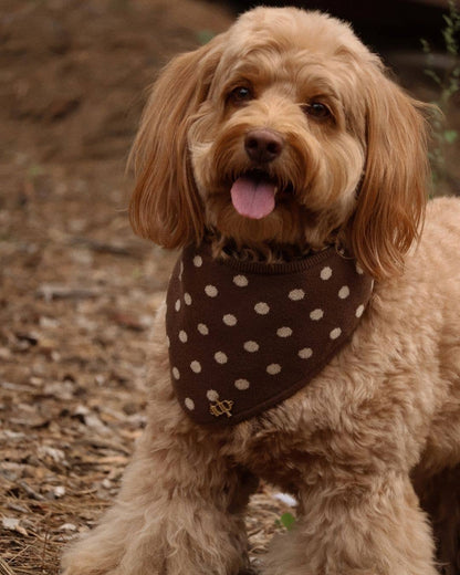 Dottie Bandana