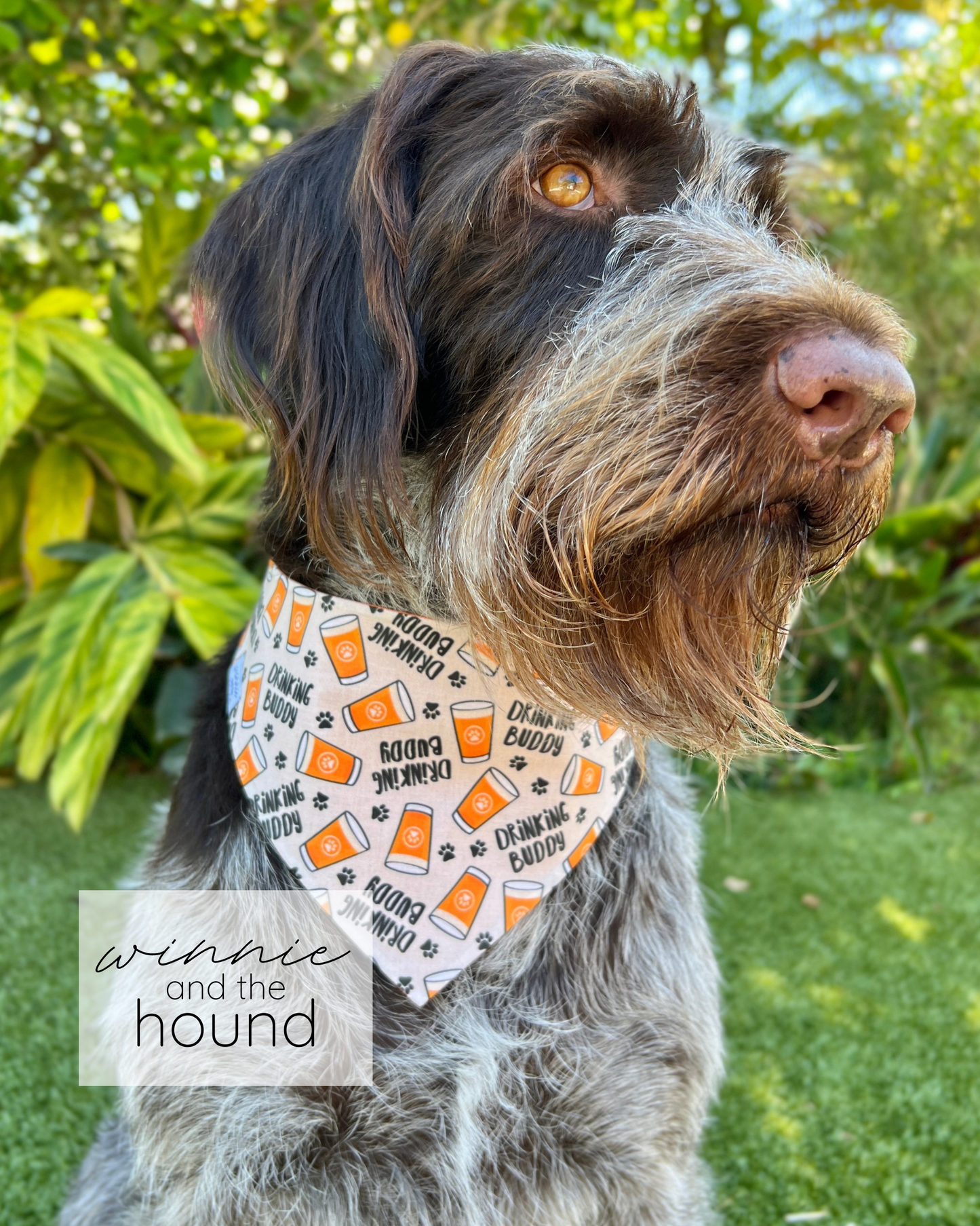 Bandana para perro con lazo para beber