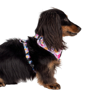 Delightful Daisies Adjustable Dog Harness